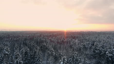 Car-rides-by-road-in-snow-covered-forest.-Footage.-Rays-of-the-morning-sun.-Aerial-view.-Aerial-view-of-a-snowy-forest-with-high-pines-and-road-with-a-car-in-the-winter.-Top-view-of-winter-road